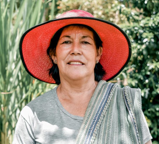 pexels-aldo-vigo-570160851-16896231